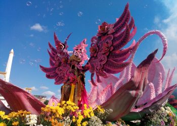 Bunga Berjalan di Kota Surabaya