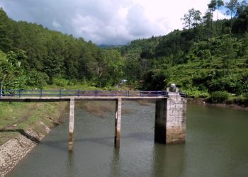 Menjaga Kelangsungan Ekosistem Sungai Podang