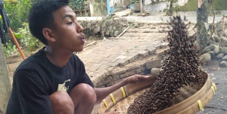Kucur, Desa di Kaki Gunung Kawi yang Setia Menanam Kopi