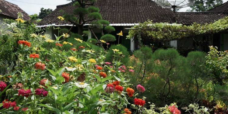 Romantika di Desa Bunga, Ngadiluwih