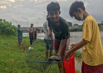 Pladu, Berburu Ikan Mabuk di Sungai Brantas