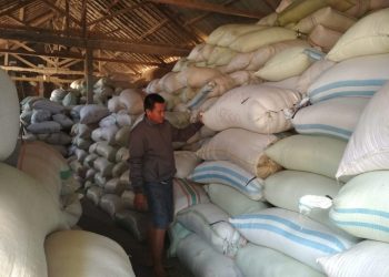 Mantan Ketua AJI Jualan Beras