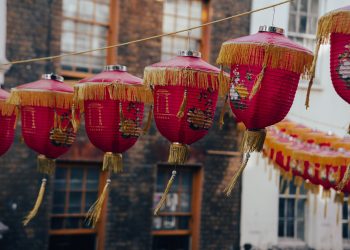 chinese new year lantern