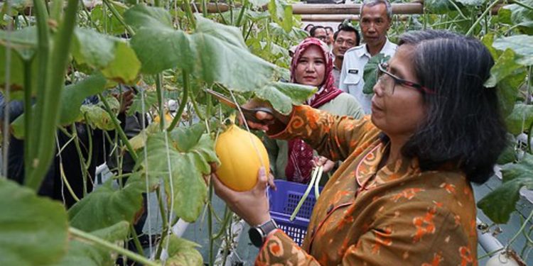Masyarakat Kota Kediri Didorong Memproduksi Pangan di Halaman Rumah