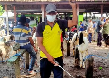 Tingkat Gemar Membaca Kota Kediri Peringkat Kedua Se-Jawa Timur