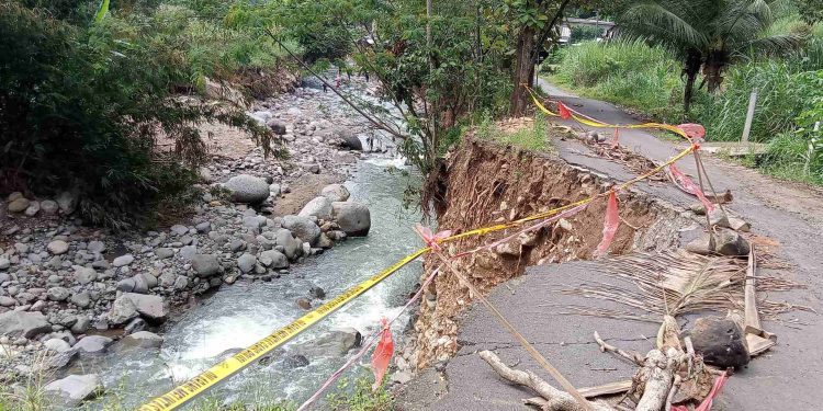 Bencana Kemarau Basah di Lereng Gunung Wilis