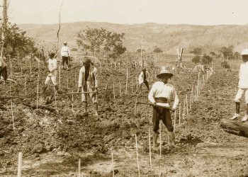 Kiai Ngliman, Guru Ngaji Pemberontak Tanam Paksa di Nganjuk