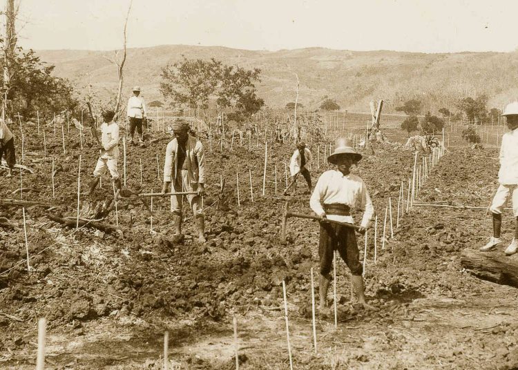 Kiai Ngliman, Guru Ngaji Pemberontak Tanam Paksa di Nganjuk