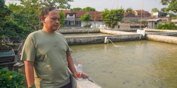 Republik Lele, Penguasa Pasar Ikan Berkumis Lintas Pulau