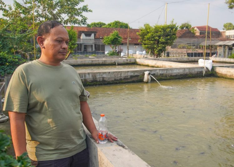 Republik Lele, Penguasa Pasar Ikan Berkumis Lintas Pulau